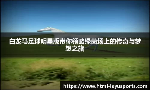 白龙马足球明星版带你领略绿茵场上的传奇与梦想之旅